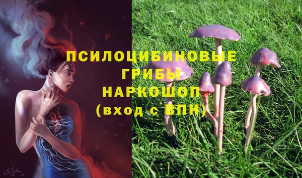 альфа пвп Горнозаводск
