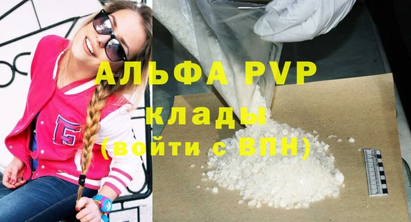 гидра Горно-Алтайск