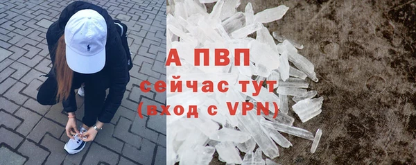 apvp Горняк