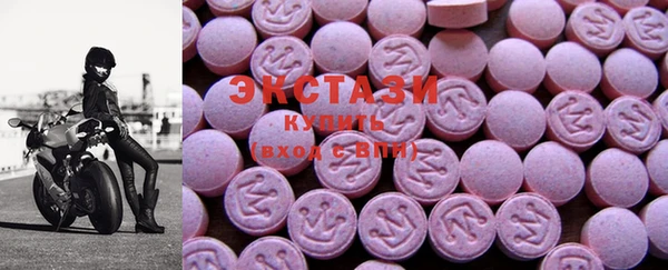 гидра Горно-Алтайск