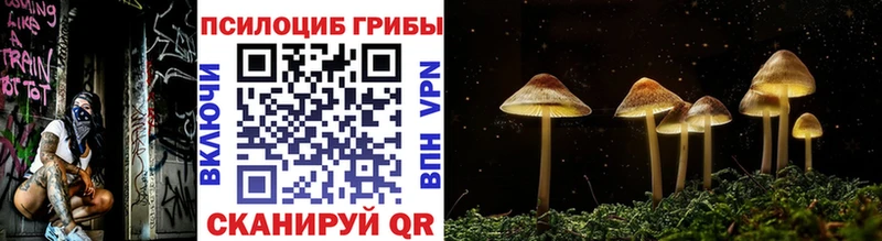 Купить закладки  Чулым  Галлюциногенные грибы MAGIC MUSHROOMS 